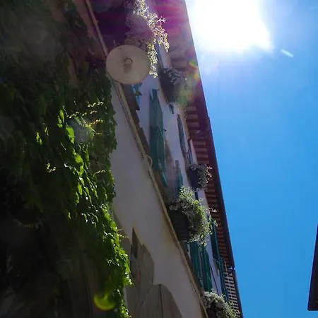 La Paladina Sansepolcro